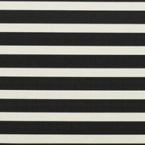 Meet your Posher, Lizliz